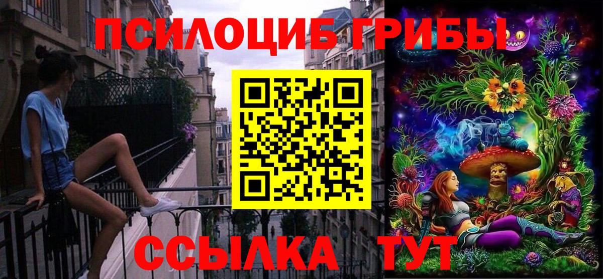 Псилоцибиновые грибы Psilocybe  Псилоцибиновые грибы ЛСД  Новодвинск  Вход с VPN 