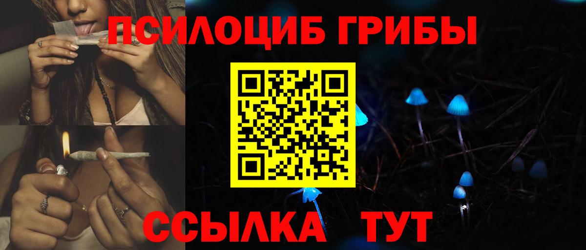Псилоцибиновые грибы Psilocybine cubensis Новодвинск